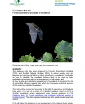 Forest Operations and Bats in Scotland